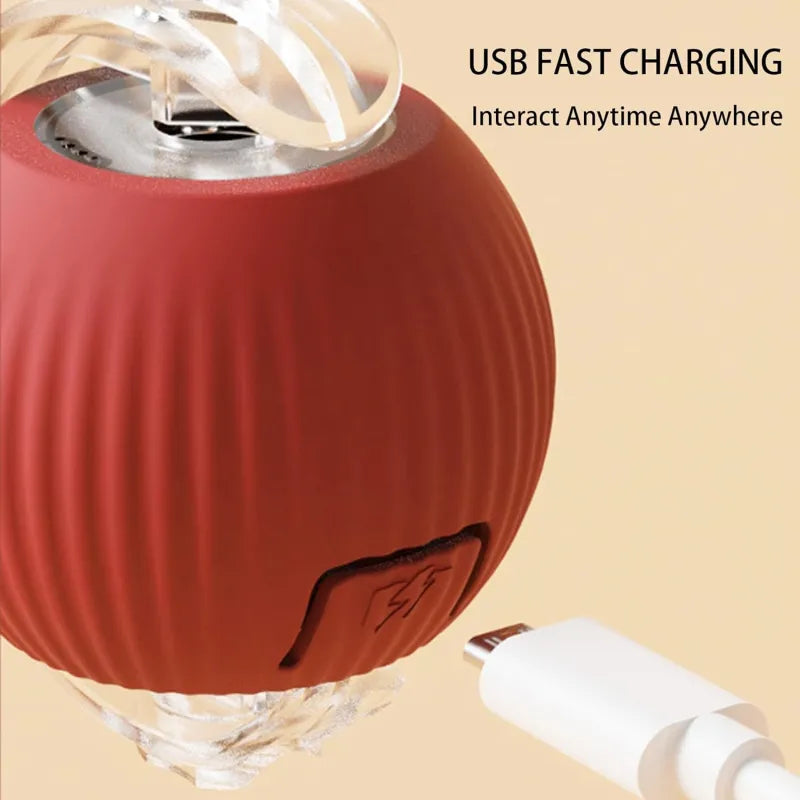 PawMotion™ 360° Smart Automatic Rolling Pet Ball