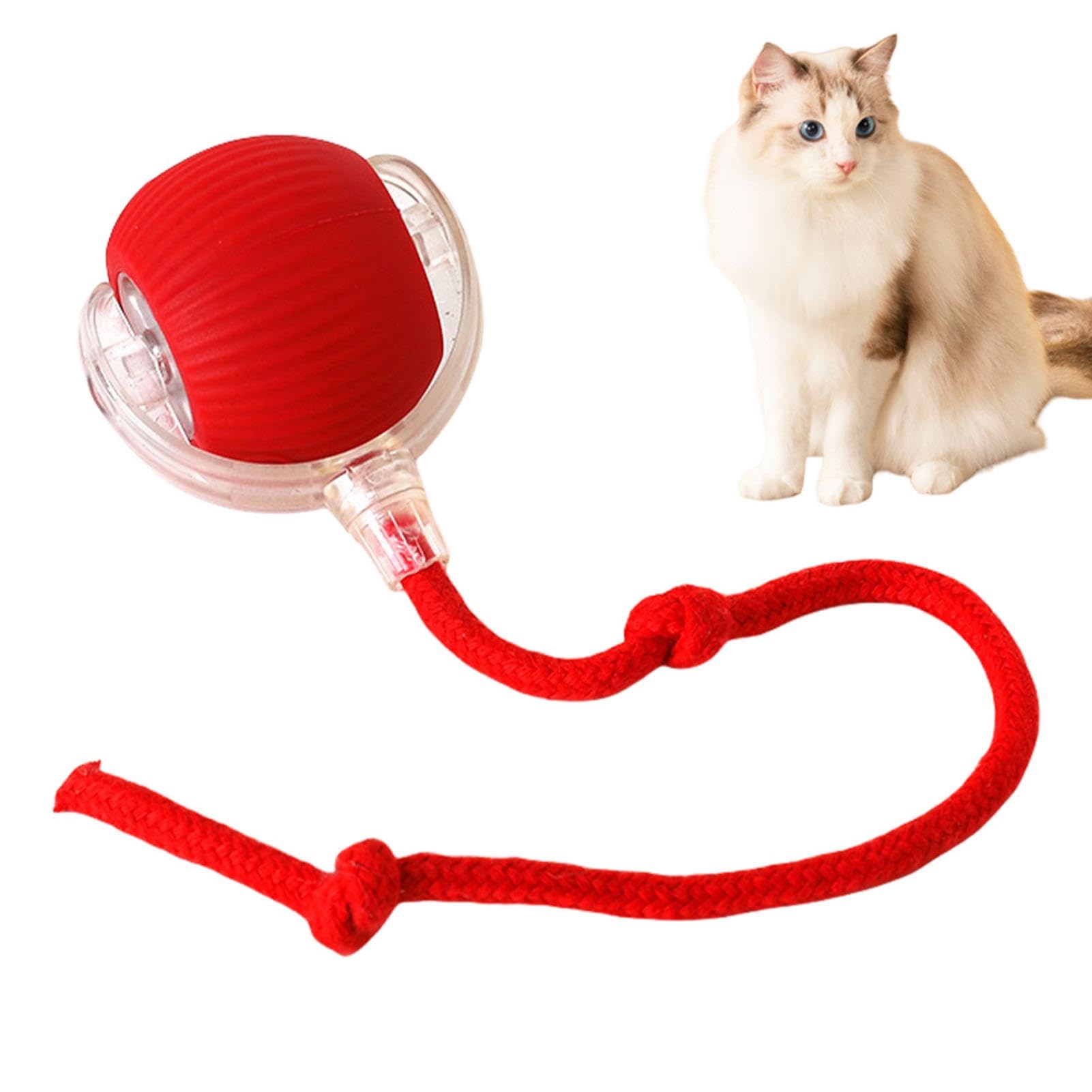 PawMotion™ 360° Smart Automatic Rolling Pet Ball
