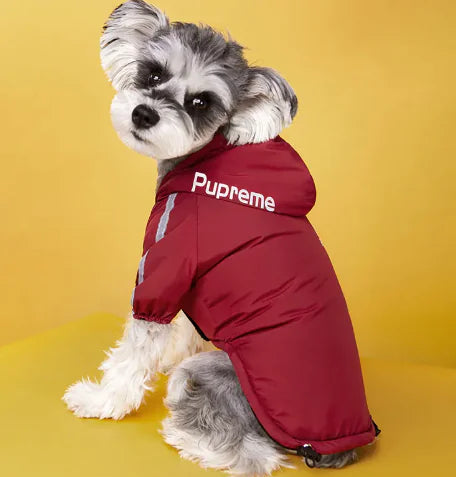 CozyPaws™ Winter Dog Jacket with Plush Velvet Lining