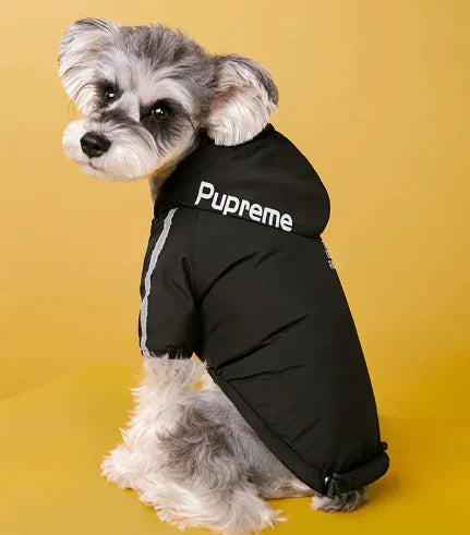 CozyPaws™ Winter Dog Jacket with Plush Velvet Lining