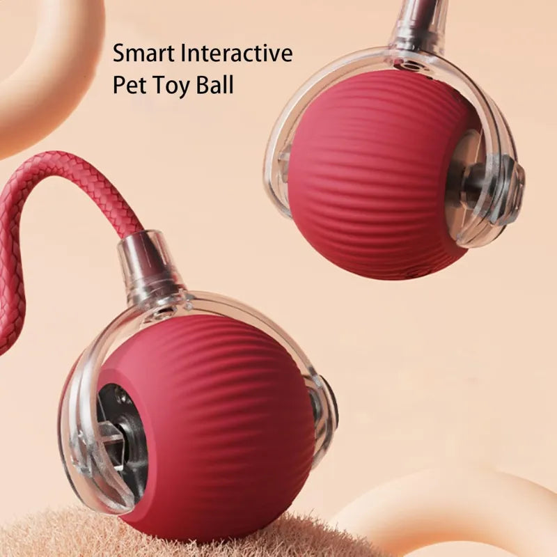 PawMotion™ 360° Smart Automatic Rolling Pet Ball
